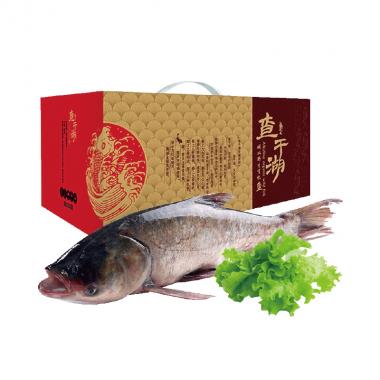 查干湖-貮號胖頭魚