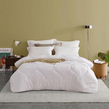 羅萊恬夢暖絨冬被200*230cm 2000g