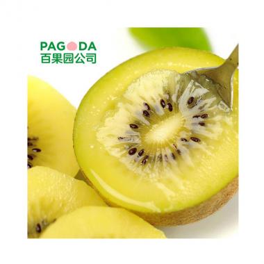 A級(jí)-佳沛陽光金奇異果（大）27#單果重≥110g 16個(gè)